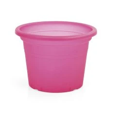 Cheapest 💯 Australia Only - EDEN 25cm Red Transparent Cylinder Planter Clear Red 👍