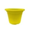 Cheap 😍 Australia Only - Eden 15cm Yellow Transparent Cylinder Planter Other 👏 -Eden shop 3c81221e8eb64fb0abd5e635d77a6743