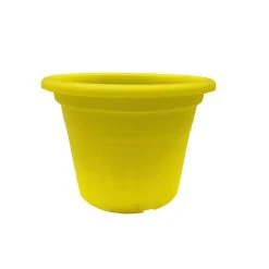 Cheap 😍 Australia Only - Eden 15cm Yellow Transparent Cylinder Planter Other 👏