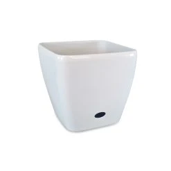 Best deal 🌟 Australia Only - Eden 18cm White Square Self Watering Planter ✔️