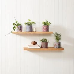 Brand new ❤️ EDEN 16cm Warlu Fire Country Dreaming 1 Indigenous Planter Other - To Australia 🔔 11 Brand new ❤️ EDEN 16cm Warlu Fire Country Dreaming 1 Indigenous Planter Other - To Australia 🔔 -Eden shop 60374e1bbbce4bf391672767eff97960 3