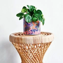 Brand new ❤️ EDEN 16cm Warlu Fire Country Dreaming 1 Indigenous Planter Other - To Australia 🔔 12 Brand new ❤️ EDEN 16cm Warlu Fire Country Dreaming 1 Indigenous Planter Other - To Australia 🔔 -Eden shop 719911e773c14da28767ffc35dc00700