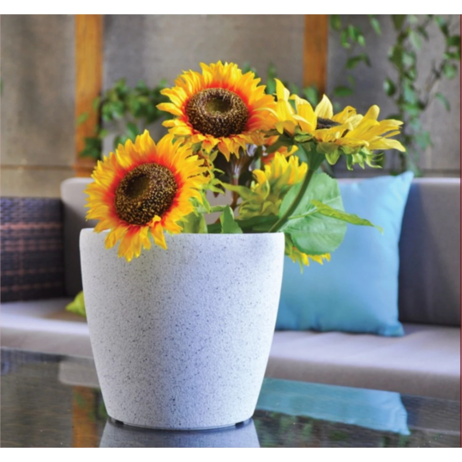 Eden shop -Eden shop 73e864972dee492f877157cd7e780321