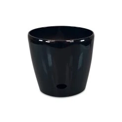 Best reviews of ❤️ Australia Only - Eden 18cm Black Round Self Watering Planter 🌟