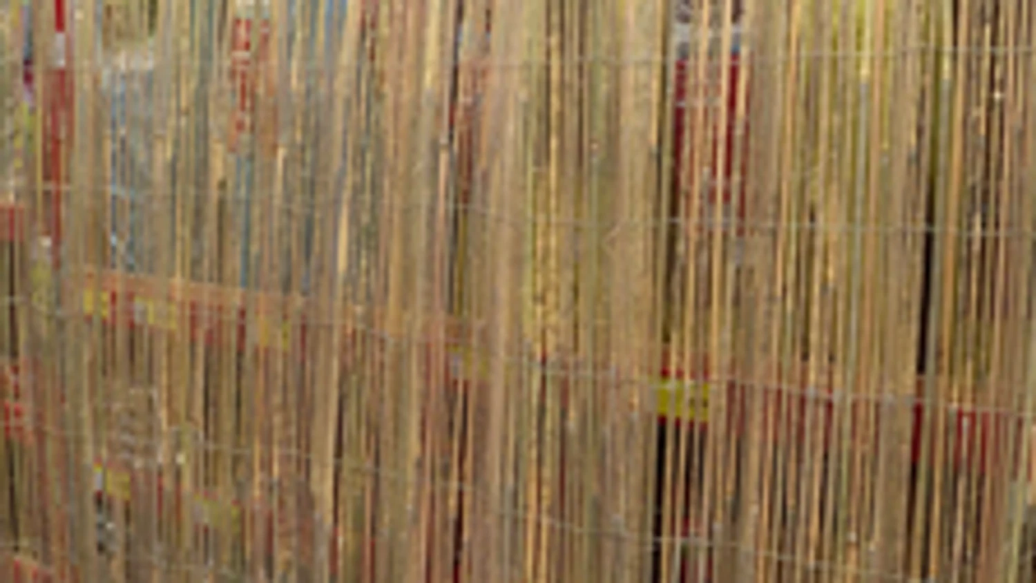 Best reviews of 👏 Australia Only - EDEN 1.8 X 3m Bamboo Slat Screen Fencing Natural ⭐ 6 Best reviews of 👏 Australia Only - EDEN 1.8 X 3m Bamboo Slat Screen Fencing Natural ⭐ - Image 4