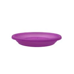 Hot Sale 😍 Eden 22cm Purple Transparent Saucer Other - To Australia ⭐