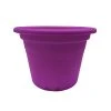 Best Sale 😉 Eden 15cm Purple Transparent Cylinder Planter - To Australia 👍 -Eden shop d124f75f8a9f4646bdc97e7b1711c3e6