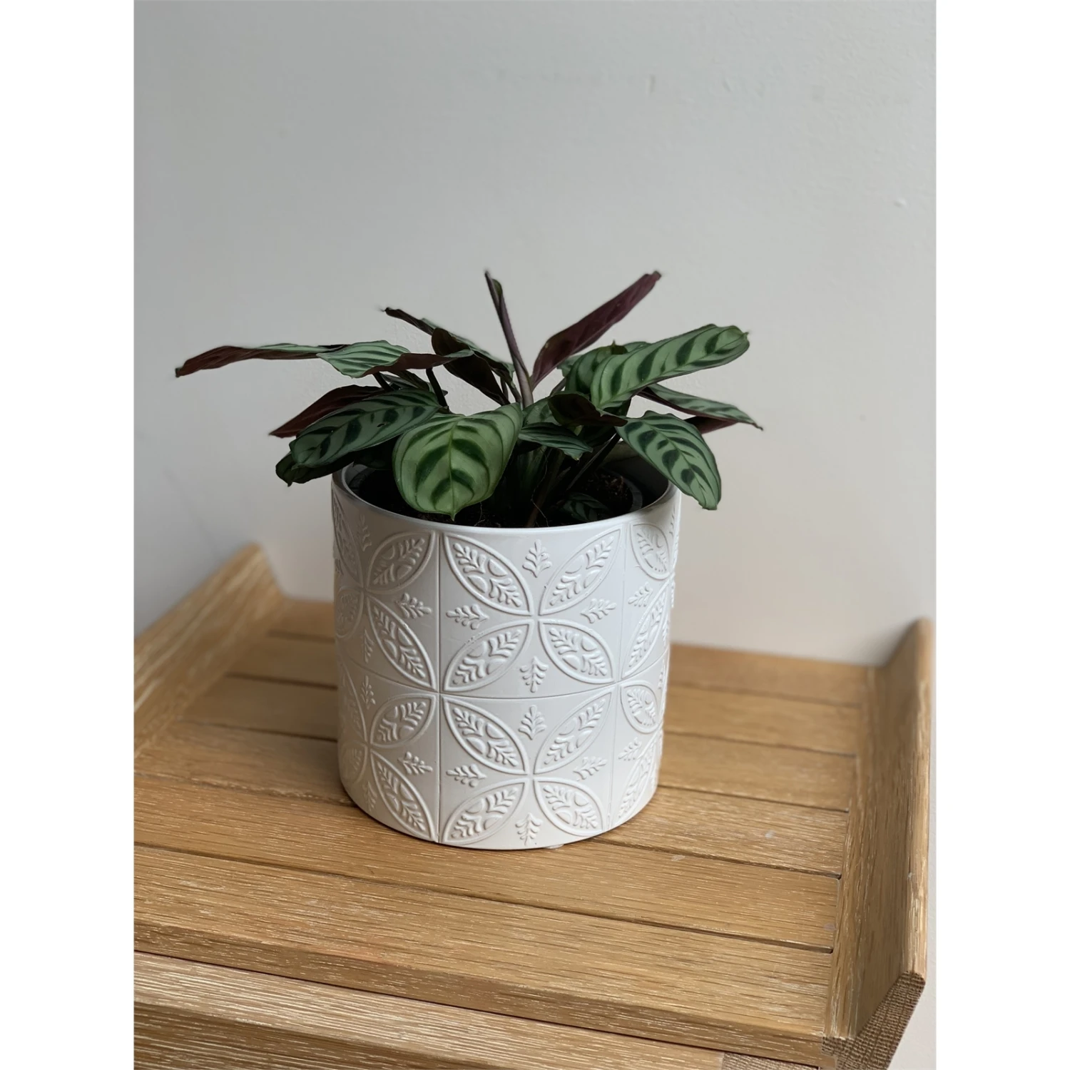 Outlet 😍 Australia Only - Eden 14cm White Moroccan Tile Ceramic Planter ⌛ 4 Outlet 😍 Australia Only - Eden 14cm White Moroccan Tile Ceramic Planter ⌛ - Image 2