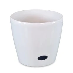 Top 10 🎉 Australia Sale - Eden 18cm White Round Self Watering Planter 🎁