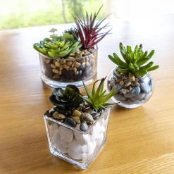 Best deal 🔔 EDEN 8cm Glass Square Planter Clear - To Australia 🤩 -Eden shop dcc560e411b449be97bf125cb0279b21